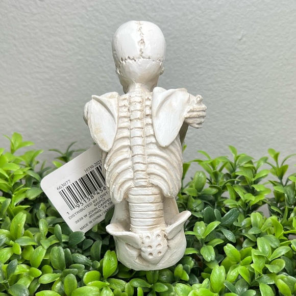 Halloween Fall Holiday Table Decor Resin Pumpkin, Skeleton,  Fake Book NEW - Picture 5 of 13